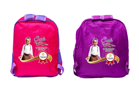 Backpacks (2)